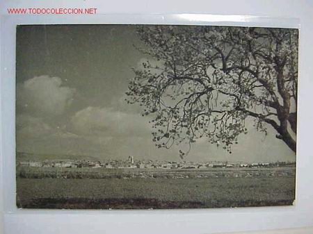 Postcards: Postal PINOSO Vista general