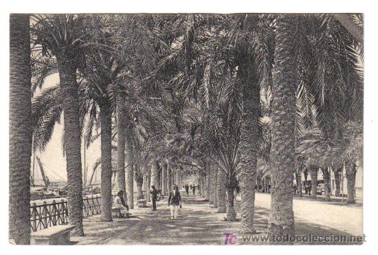 Postales: Alicante - Paseo de los M&aacute;rtires
