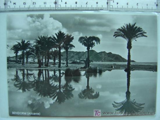 Postales: BENIDORM (ALICANTE) - Foto 1