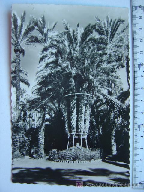 Postales: ELCHE (ALICANTE) - Foto 1