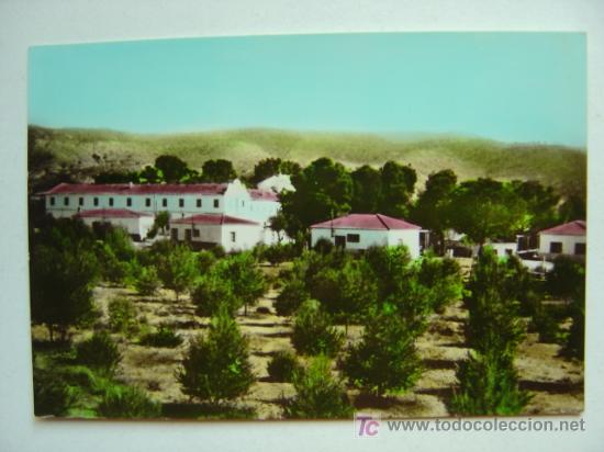 Postales: REQUENA (VALENCIA) - Foto 1