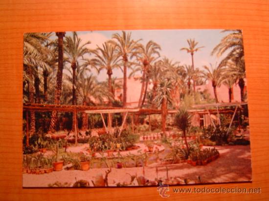 Cartoline: POSTAL ELCHE HUERTO DEL CURA VIVEROS SIN CIRCULAR