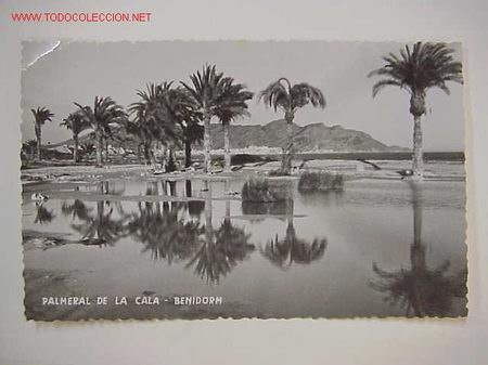 Postales: BENIDORM - Foto 1