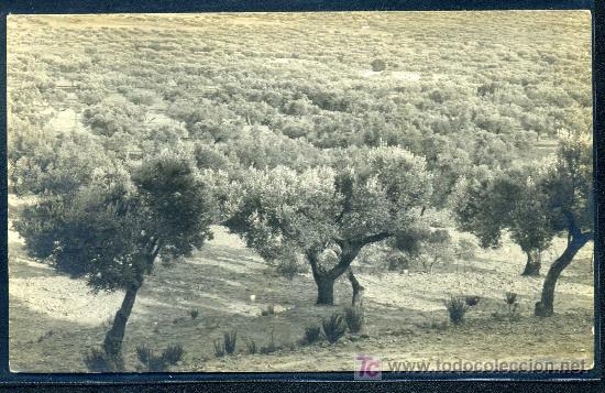 Postales: CHELVA (VALENCIA) - Foto 1