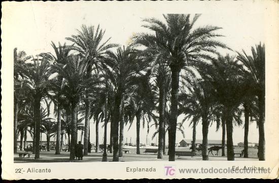 Postkarten: TARJETA POSTAL DE ALICANTE N&ordm;22. EXPLANADA. ED. ARRIBAS