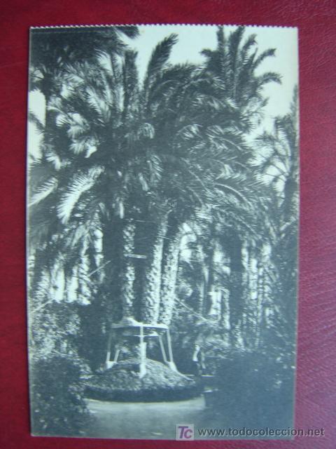 Postales: ELCHE (ALICANTE) - Foto 1