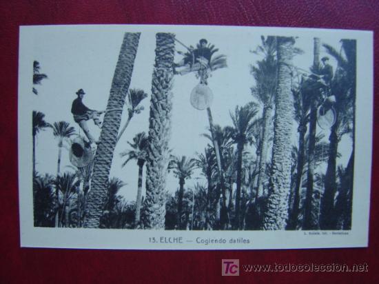 Postales: ELCHE (ALICANTE) - Foto 1