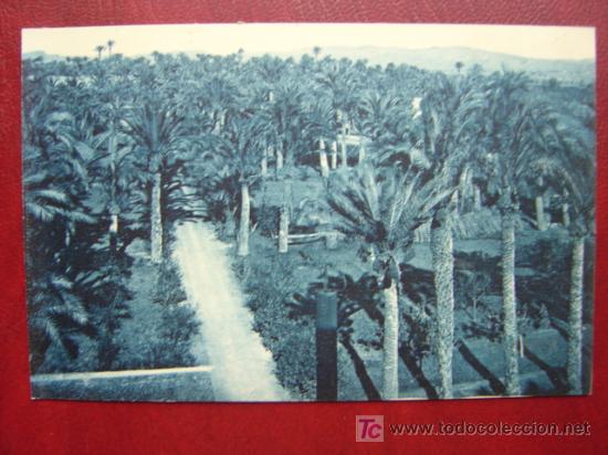 Postales: ELCHE (ALICANTE) - Foto 1