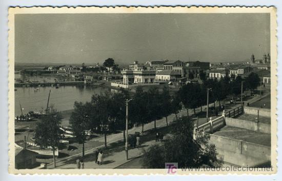 Postais: TORREVIEJA , ALICANTE, FOTO DARELADE , AVENIDA 18 DE JULIO , P28208