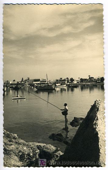 Postais: TORREVIEJA , ALICANTE, FOTO DARELADE , DESDE UN RINCON DE LA ESCOLLERA , P28214