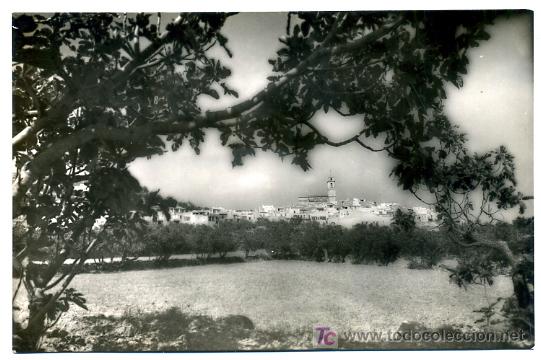 Postais: ROSELL, CASTELLON ,VISTA PANORAMICA , P23351