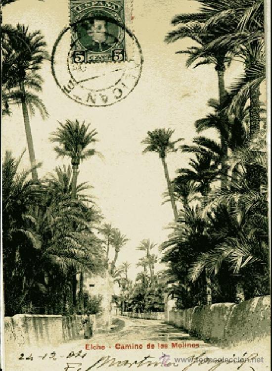 Postales: POSTAL ELCHE. Camino de los molinos, PZ 10076, circulada y escrita 1904