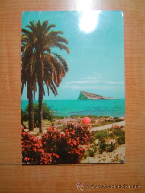 Postales: POSTAL BENIDORM PALMERA E ISLA SIN CIRCULAR - Foto 1