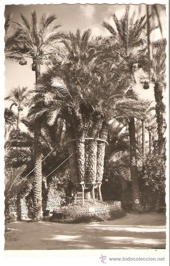 Postales: ELCHE. ALICANTE. - Foto 1