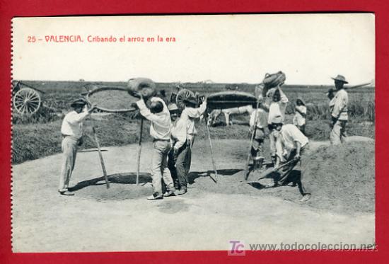 Postkarten: VALENCIA, CRIBANDO EL ARROZ EN LA ERA, COSTUMBRISTA,    P35740