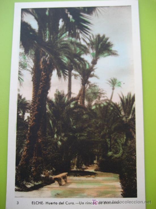Postales: Elche. Huerto de Cura. N&ordm; 3 Un rincon de descanso. Ed. Arribas. Postal sin circular