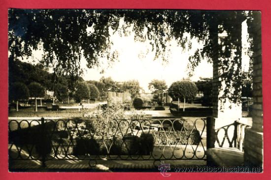 Postcards: valencia, paseo de valencia a la mar, fotografica,    p49026