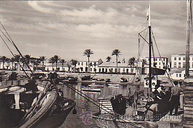 Cartes Postales: POSTAL TORREVIEJA DESDE EL MUELLE PESQUERO