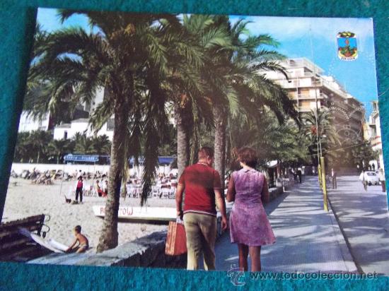 Postkarten: ALICANTE-BENIDORM-D5-PASEO DEL PUERTO-DLB.48.520 XIV