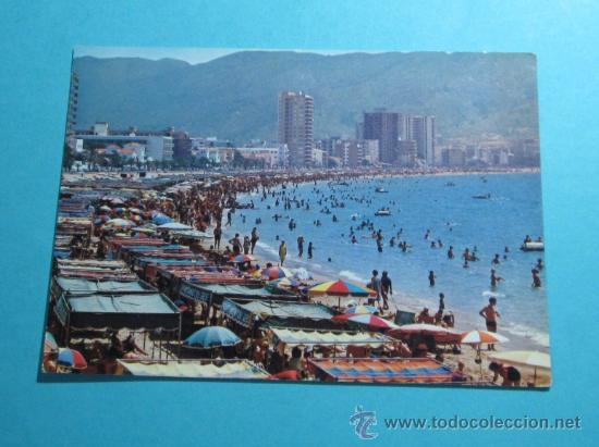 Postkarten: POSTAL PLAYA DE BENIDORM