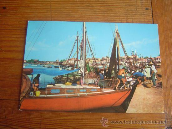 Postcards: Postal de Torrevieja.