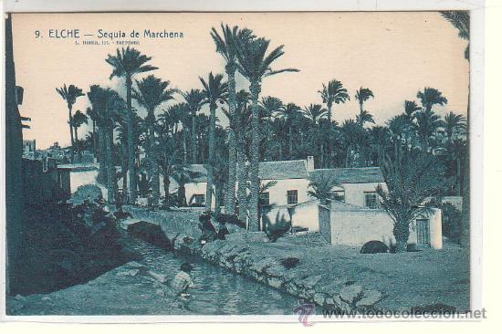 Postales: ELCHE (ALICANTE).- SEQUIA DE MARCHENA - Foto 1
