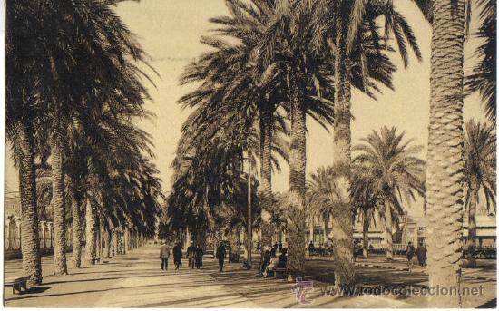 Postais: TARJETA POSTAL DE ALICANTE N&ordm; 26. PASEO DE GOMIZ. L. ROISIN, FOTOGRAFO