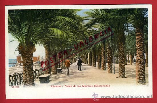 Postais: POSTAL, ALICANTE, PASEO DE LOS MARTIRES, ESPLANADA, COLECCION PZ 7022,   P68279