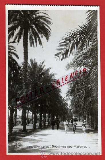 Postkarten: POSTAL, ALICANTE, PASEO DE LOS MARTIRES, COLECCION UNIQUE,    P68584