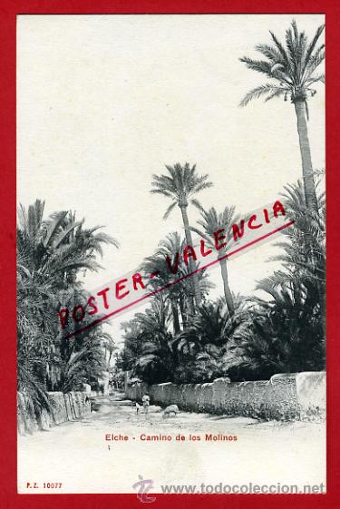 Postcards: POSTAL, ELCHE, ALICANTE, CAMINO DE LOS MOLINOS, COLECCION PZ 10077,    P68871