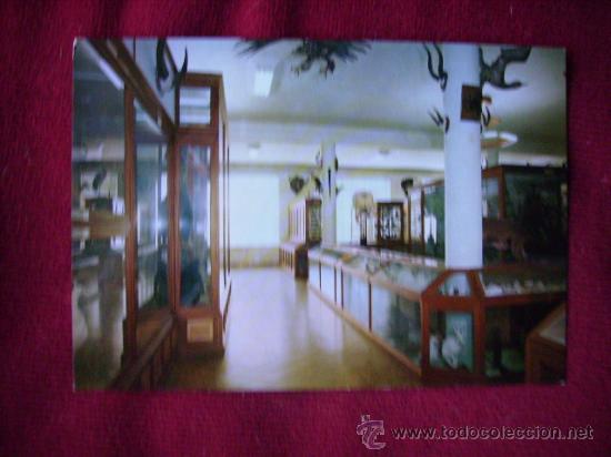 Postcards: PATERNA,VALENCIA.LA SALLE.MUSEO VISTA GENERAL.JDP N&ordm; 5