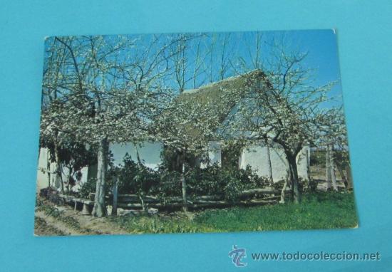 Postkarten: BARRACA VALENCIANA. SERIE 10 N&ordm; 513
