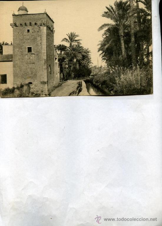 Postales: POSTAL ELCHE , la Torreta - Foto 1