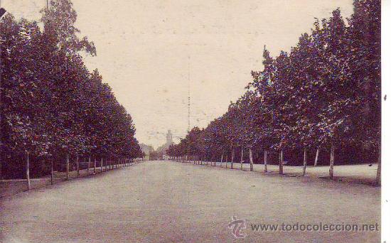 Cartoline: Castellon de la plana - paseo de ribalta - roisin