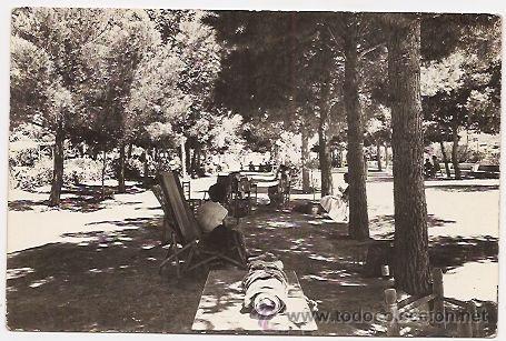 Postales: Altura, provincia de Castell&oacute;n