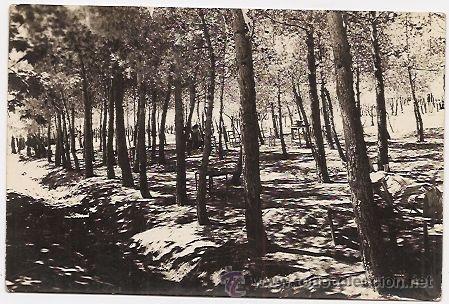 Postales: Altura, provincia de Castell&oacute;n