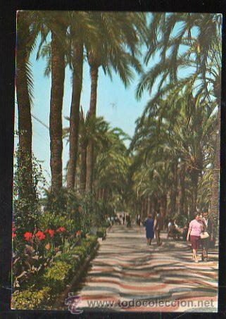 Postais: TARJETA POSTAL DE ALICANTE - EXPLANADA DE ESPA&Ntilde;A. 39. GARCIA GARRABELLA