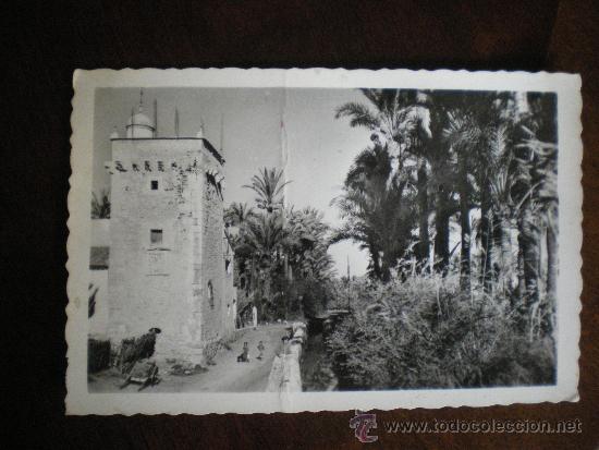 Postales: ELCHE-TORRETA - Foto 1