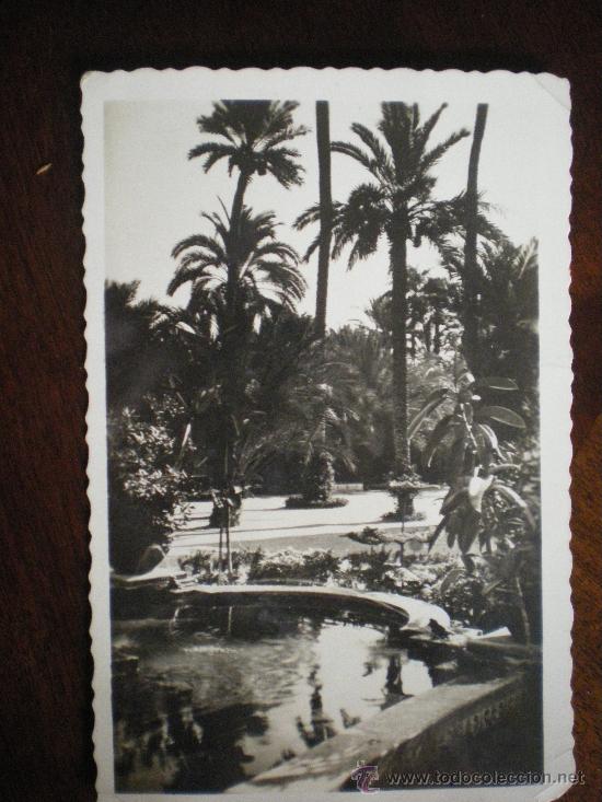 Postales: ELCHE-PARQUE MUNICIPAL - Foto 1