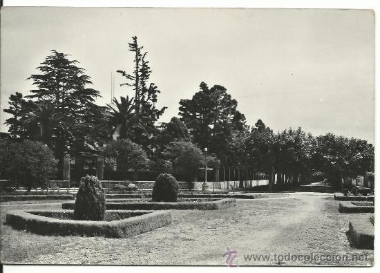 Postkarten: BENICARLO.-JARDIN Y PASEO LIBERACION.-EXCLUSIVA MUCHOLA.-SOBERANAS