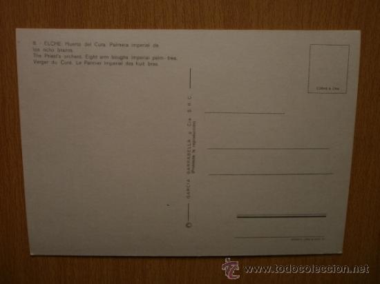 Postales: ALICANTE. ELCHE. - Foto 2