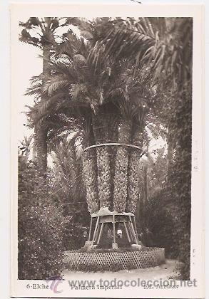 Postales: Elche, postal formato antiguo - Foto 1
