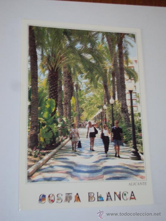 Postales: Alicante. La Explanada. - Foto 1