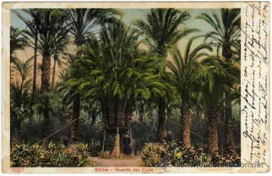 Postcards: PRECIOSA POSTAL - ELCHE (ALICANTE) - HUERTO DEL CURA - AMBIENTADA