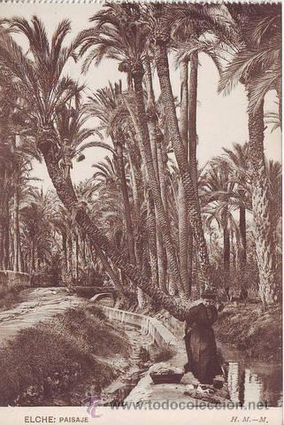 Postales: ELCHE: Paisaje. - Foto 1