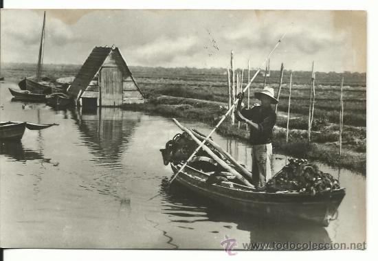 Postkarten: VALENCIA.-CANAL DE LA ALBUFERA.-N&ordm; 693 EDICIONES JDP