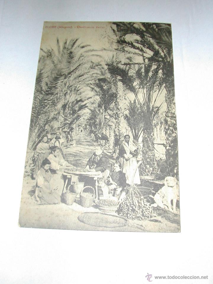 Postkarten: ELCHE. CLASIFICANDO DATILES. EDICI&Oacute;N - BAZAR ARCA DE NO&Eacute;. A&Ntilde;OS 1920. 1318.