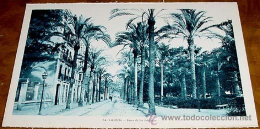 Cartoline: ANTIGUA POSTAL DE VALENCIA - PASEO DE LAS PALMERAS - NO CIRCULADA - DIVIDIDA - L. ROSISIN