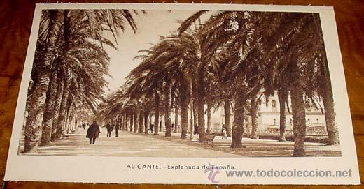 Postais: ANTIGUA POSTAL DE ALICANTE - EXPLANADA DE ESPA&Ntilde;A - NO CIRCULADA - DIVIDIDA - EDICIONES M. ARRIBAS