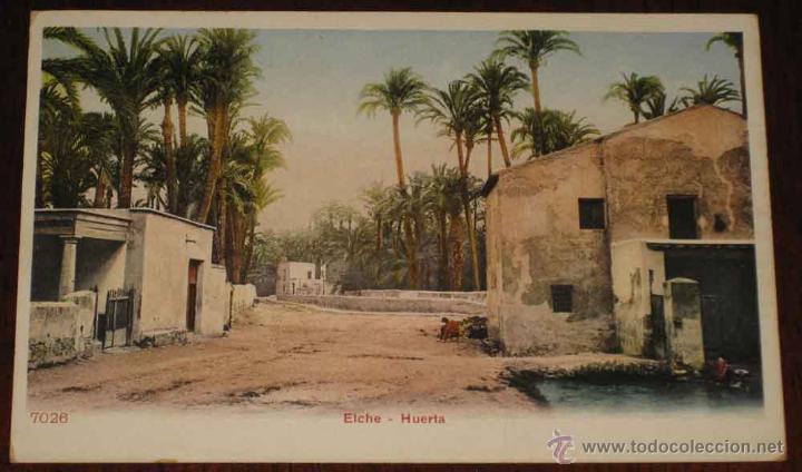 Postkarten: ANTIGUA POSTAL DE ELCHE (ALICANTE) - 7026 - HUERTA - SIN CIRCULAR Y SIN DIVIDIR